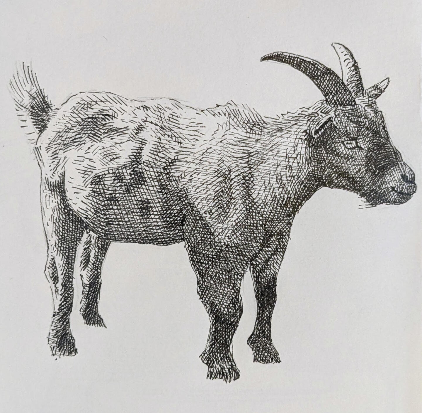 Train to London Paddington